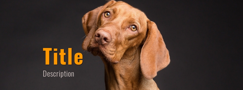 Dog Facebook cover photo template, on black background, image size 851x315 px