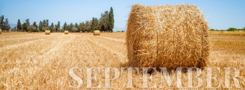 September Facebook cover template photo