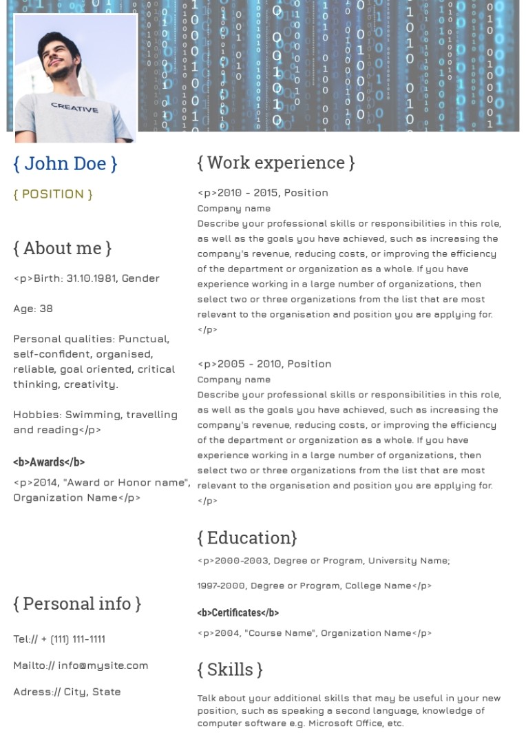 Programmer resumer, cv sample, template