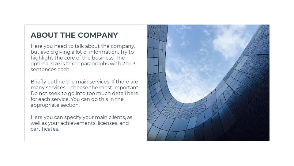 Business presentation template - E