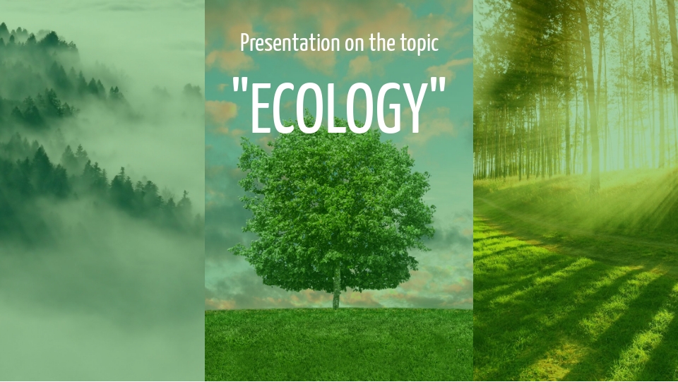 School presentation sample 