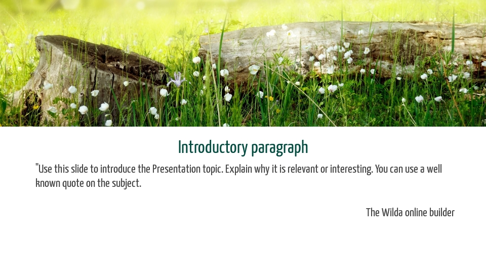 School presentations sample 