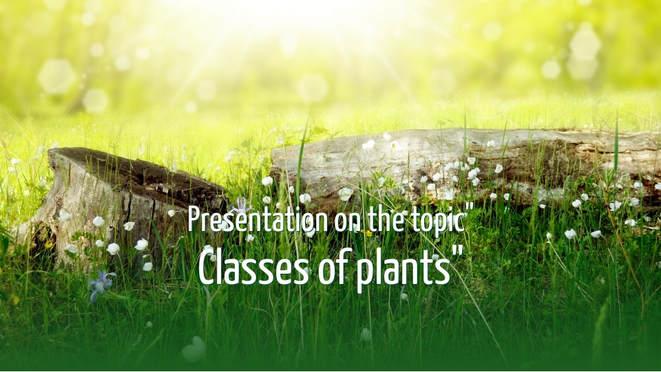 School presentations sample 